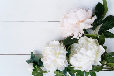 Similar image 22422206