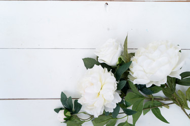 Similar image 22422208