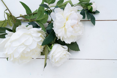 Similar image 22422209