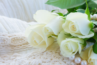 Similar image 22422219