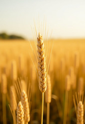 Similar image 22402723