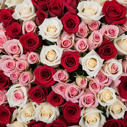 Similar image 22464379