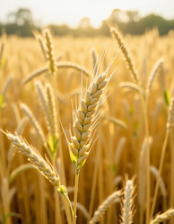 Similar image 22468758