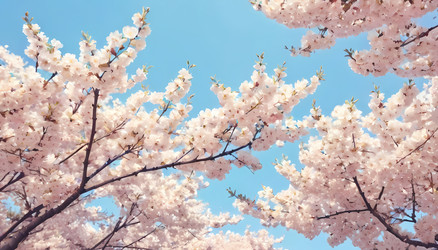 Similar image 22402592