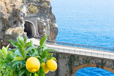 Similar image 22422276