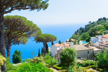 Similar image 22422279