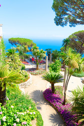 Similar image 22422280