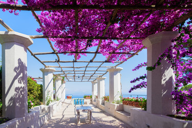 Similar image 22422281