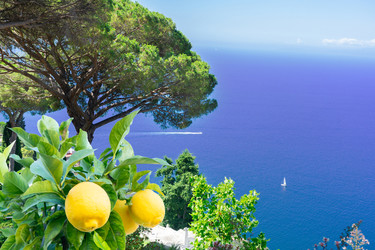 Similar image 22422282