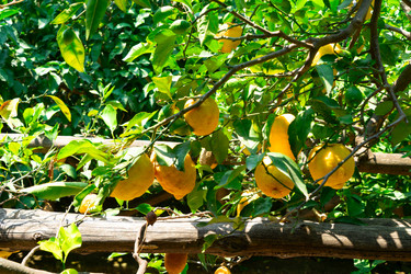 Similar image 22422286