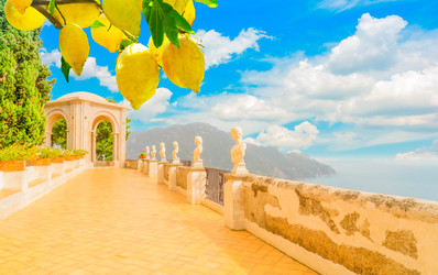 Similar image 22422288