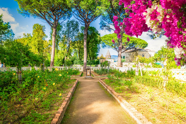 Similar image 22422298