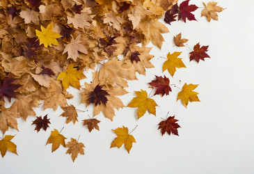 Similar image 22402650