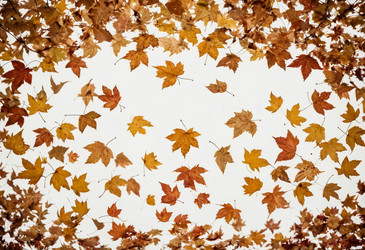 Similar image 22464305