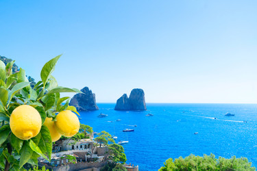 Similar image 22422303