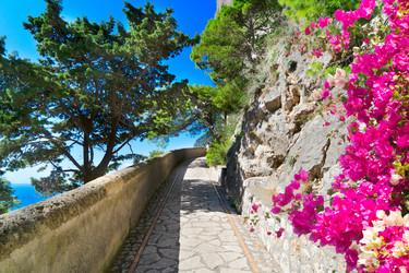 Similar image 22422307