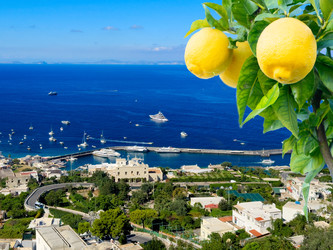 Similar image 22422319