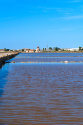 Similar image 22422331