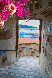 Similar image 22422339