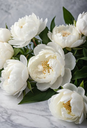 Similar image 22402622