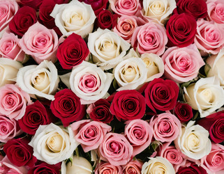 Similar image 22468715