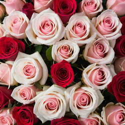 Similar image 22468761