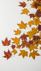 Similar image 22468776