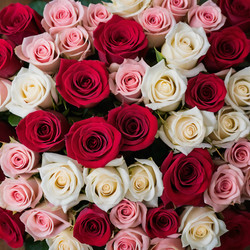 Similar image 22468940