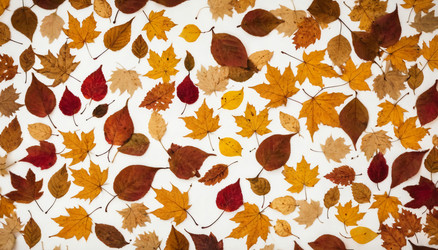 Similar image 22468955