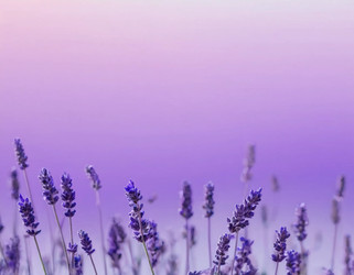 Similar image 22402667