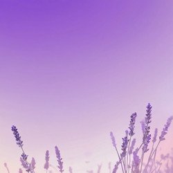 Similar image 22402682