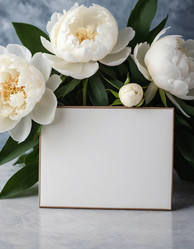 Similar image 22417568