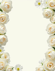 Similar image 22464440