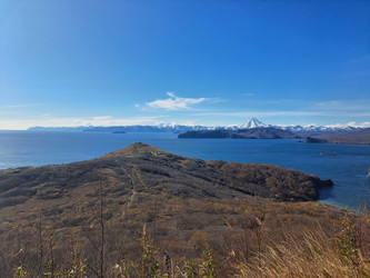 Similar image 22453821