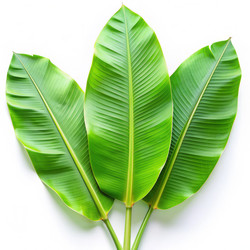 Similar image 22403044