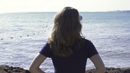 Similar image 22462530