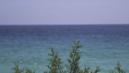 Similar image 22462575