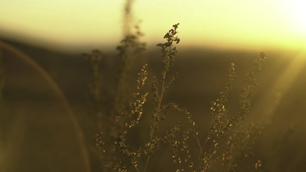 Similar image 22462635