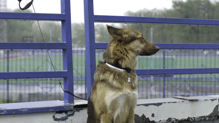 Similar image 22462695