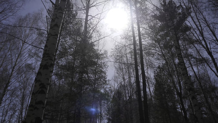 Similar image 22462828