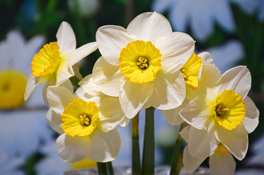 Similar image 22402417