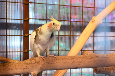 Similar image 22442688