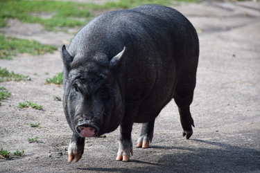 Similar image 22428537