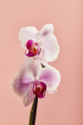 Similar image 22465218