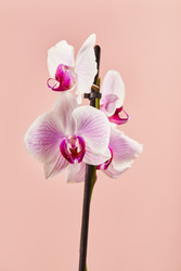 Similar image 22465220