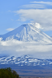 Similar image 22455343