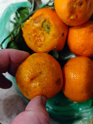 Similar image 22426832