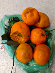 Similar image 22426833