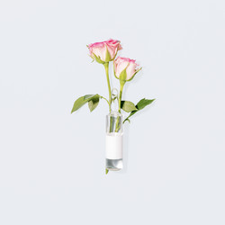 Similar image 22443830