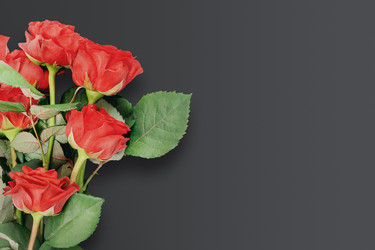 Similar image 22443832